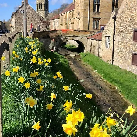 Ryedale هلمسلي